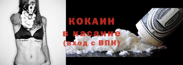 молекула духа Пестово